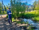 В Чувашии оштрафовали коммунальщика за загрязнение земли сточными водами