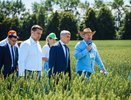 Новинки техники и миллионные гранты: в Чувашии дан старт аграрной выставке "День поля"