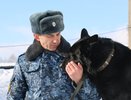 Кинологи УФСИН Чувашии демонстрируют высокий уровень профессионализма