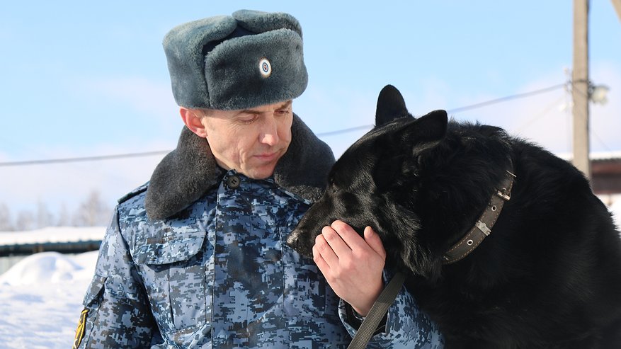 Главная картинка новости: Кинологи УФСИН Чувашии демонстрируют высокий уровень профессионализма