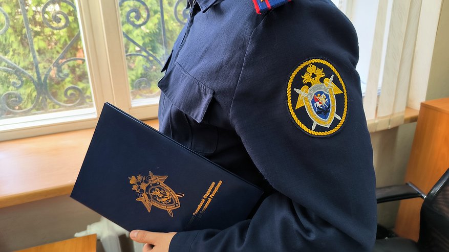 Главная картинка новости: Жительница Чувашии осуждена за уклонение от налогов на 3,5 миллиона рублей
