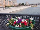 Чувашия готовится к солнечному воскресенью: погода в регионе 20 июля