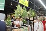 Миниатюра новости: На агромаркете в Чебоксарах представили продукцию лесничеств