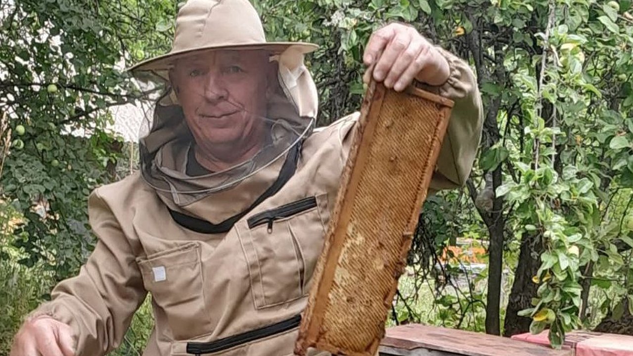 Главная картинка новости: Пасека пчеловода из Чувашии растет на глазах благодаря социальному контракту