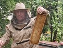 Пасека пчеловода из Чувашии растет на глазах благодаря социальному контракту