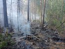 Пожарные из Чувашии оперативно помогли соседнему региону справиться с огнем