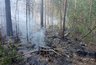 Миниатюра новости: Пожарные из Чувашии оперативно помогли соседнему региону справиться с огнем