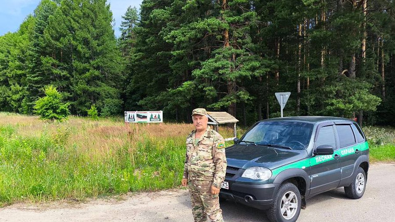 Главная картинка новости: Чувашия усиливает охрану лесов в период высокой пожарной опасности