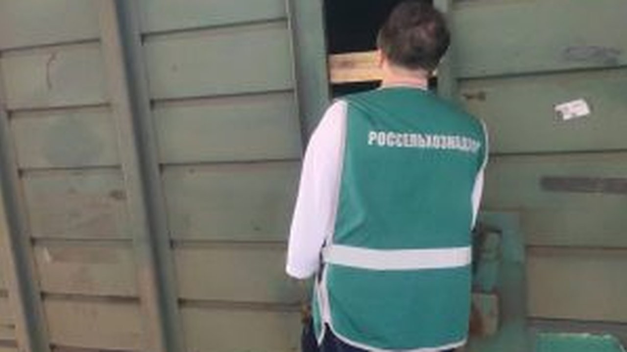 Главная картинка новости: В Чувашию ввезли 128 тонн импортной продукции под контролем Россельхознадзора