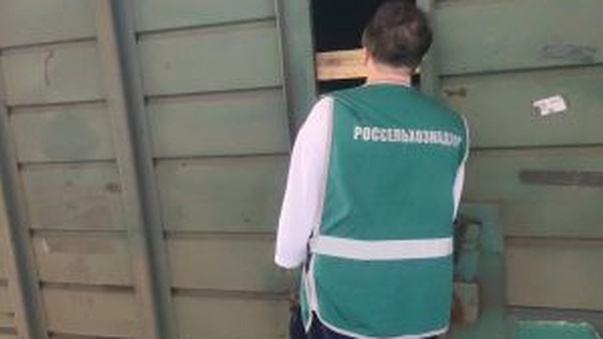 Главная картинка новости: В Чувашию ввезли 128 тонн импортной продукции под контролем Россельхознадзора