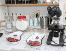 В Чувашии проверили 30 тысяч проб мяса на трихинеллёз