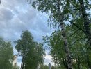 24 июля Чувашию ожидают дожди с прояснениями и утренние туманы