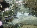 В Чувашии выявили опасное загрязнение притока реки Рыкша