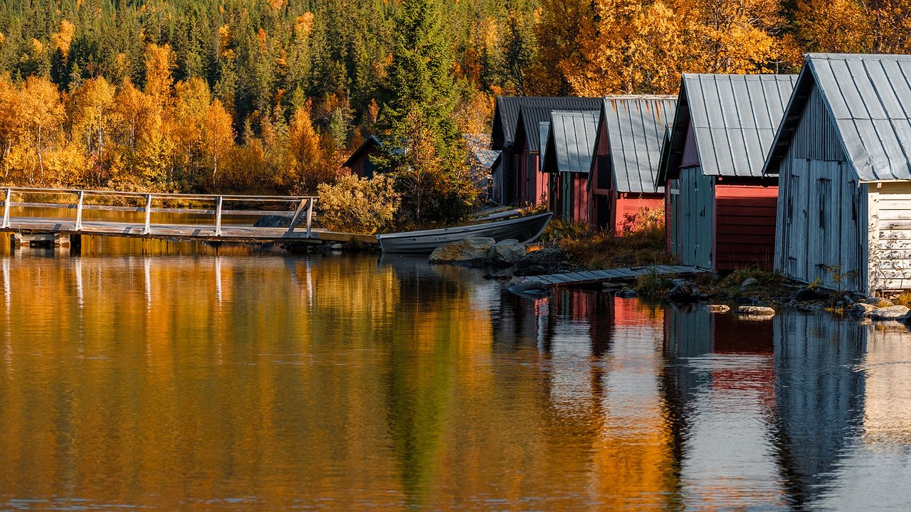 Главная картинка новости: Почему у норвежцев нет огородов — хотя большинство из них живут в частных домах