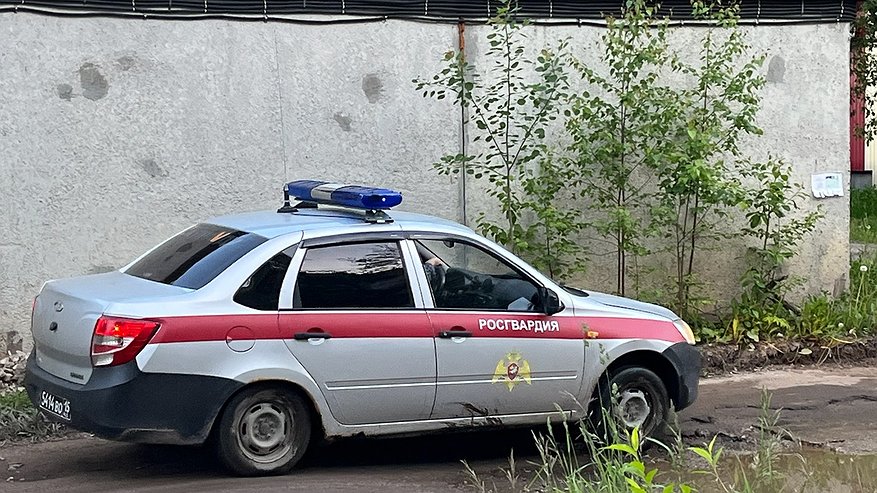 Главная картинка новости: Чебоксарца задержали по подозрению в распространении запрещенных веществ