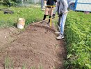 Лишние кабачки я не раздаю, а закапываю обратно в грядки: вот для чего это делаю - соседи смеются, потом будут плакать