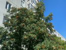 Чувашию ожидает жаркий и сухой день с прохладным ветром