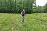 Миниатюра новости: Чувашия заботится о молодых лесах: агроуход запланирован на площади более 1500 гектаров