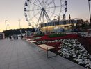 2 и 3 августа Чебоксары будут зажигать: пенная дискотека, концерты и помощь животным