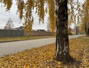 "Октябрь будет как страшный сон". синоптики предупреждают о резком похолодании и аномальной погоде