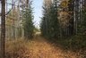 Миниатюра новости: В некоторых районах Чувашии объявлен наивысший уровень пожарной опасности