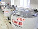 Чувашия внедряет лучшие практики для улучшения школьного питания