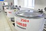 Миниатюра новости: Чувашия внедряет лучшие практики для улучшения школьного питания