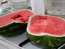 В Чебоксарах проверили почти 4 тысячи тонн арбузов и дынь
