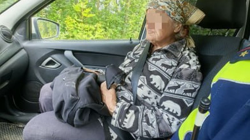Главная картинка новости: В Чувашии полицейские и волонтеры спасли заблудившуюся пенсионерку