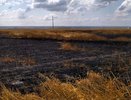 В Чувашии огнеборцы тушили пожар на овсяном поле и в жилом доме