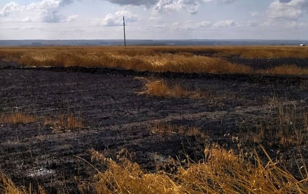 В Чувашии огнеборцы тушили пожар на овсяном поле и в жилом доме