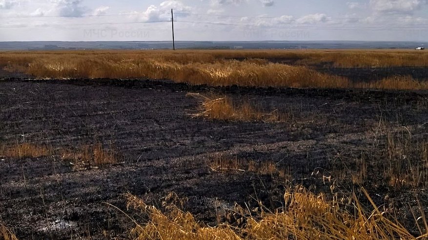 Главная картинка новости: В Чувашии огнеборцы тушили пожар на овсяном поле и в жилом доме