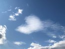 23-24 августа Чебоксары приглашают: рыцарские турниры, аэрохоккей и помощь животным