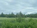 25 августа Чувашию накроют грозовые ливни с юго-западным ветром