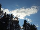 Чувашия готовится к осенней прохладе в ближайшие дни