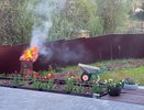 Лучше отказаться: амарант и рапс не подходят для сидерации — они истощают почву и тянут за собой орду вредителей