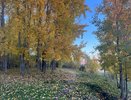 Дожди и холод: синоптики рассказали о погоде в Чувашии на 26 сентября