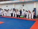 Чувашские спортсмены с триумфом выступили на всероссийских соревнованиях по тхэквондо-пхумсэ