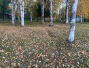 В Чувашии 3 октября температура воздуха прогреется почти до +20 градусов