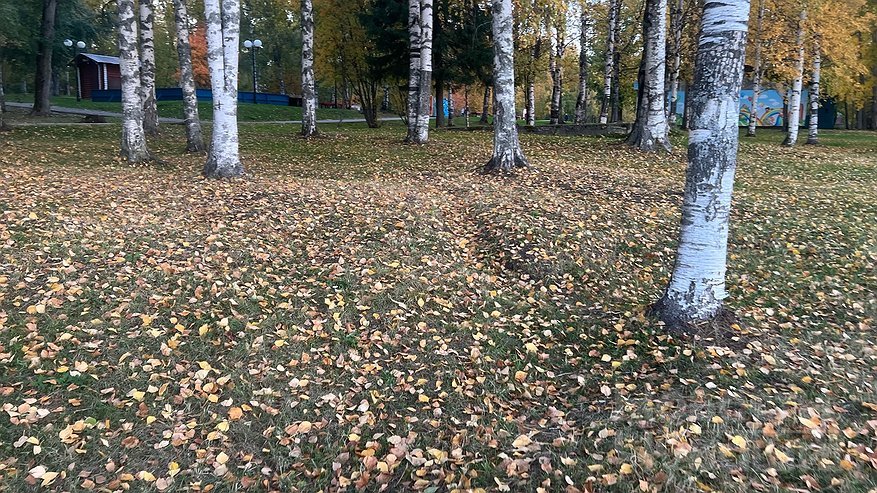 Главная картинка новости: В Чувашии 3 октября температура воздуха прогреется почти до +20 градусов