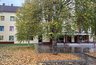 Миниатюра новости: Октябрьское «Бабье Лето» постепенно заканчивается в Чувашии