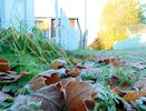 Солнечная осень сменяется дождевым межсезоньем в Чувашии