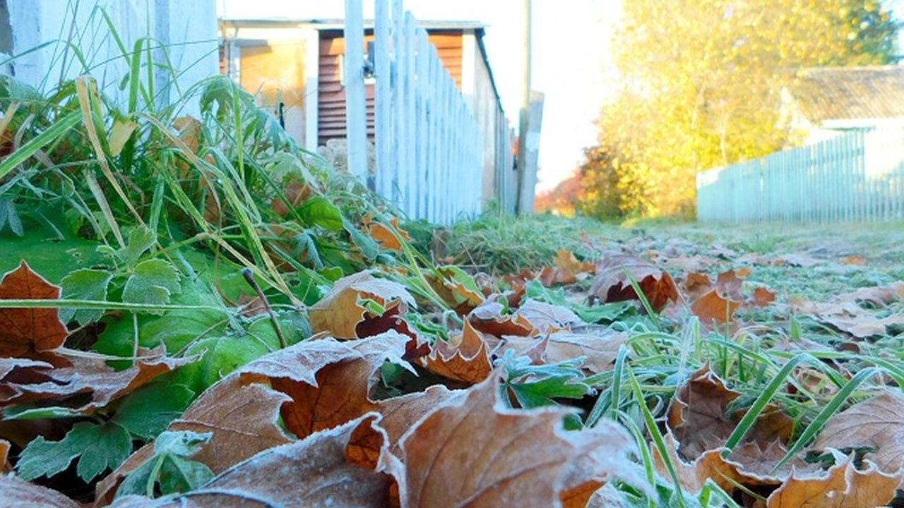 Главная картинка новости: В Чувашии 13 октября похолодает до +2 градусов