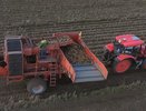 Урожай картофеля в Чувашии побил прошлогодние рекорды: названы районы-лидеры и передовые хозяйства
