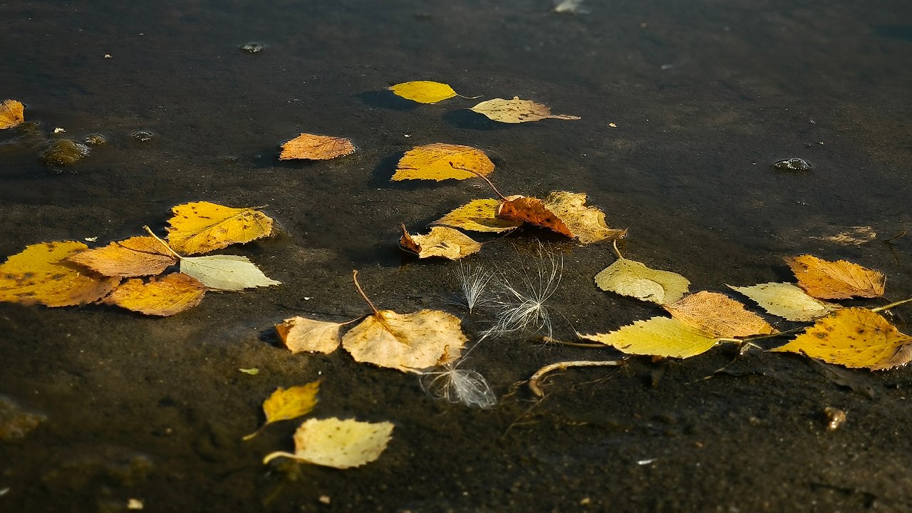 Главная картинка новости: В Чувашии 25 октября ожидаются кратковременные дожди и прохлада