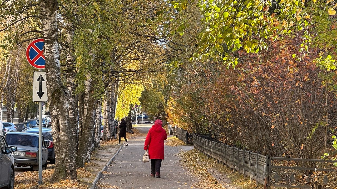 Главная картинка новости: В Чувашии 26 октября ожидается переменчивая погода и сильный ветер
