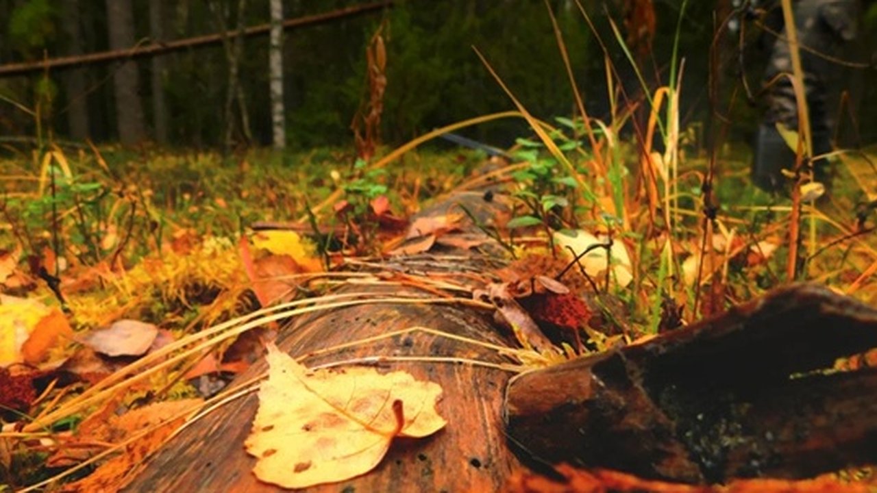 Главная картинка новости: Дожди и холод ожидается в Чувашии 28 октября
