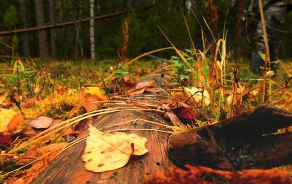Дожди и холод ожидается в Чувашии 28 октября