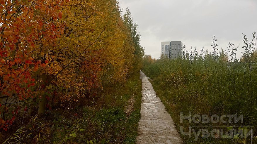 Главная картинка новости: Дождливо и холодно: синоптики рассказали о погоде в Чувашии на 30 октября