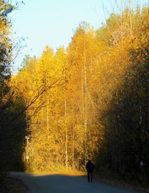 В Чувашии 31 октября ожидаются заморозки